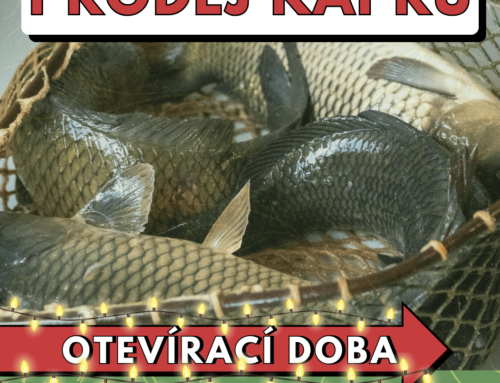 Vánoční otevírací doba 2025